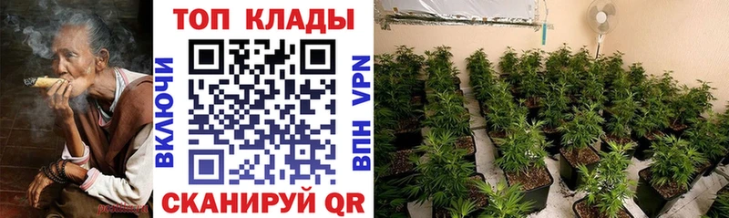 Где купить наркоту Тихвин Марихуана  Мефедрон  ГАШ 