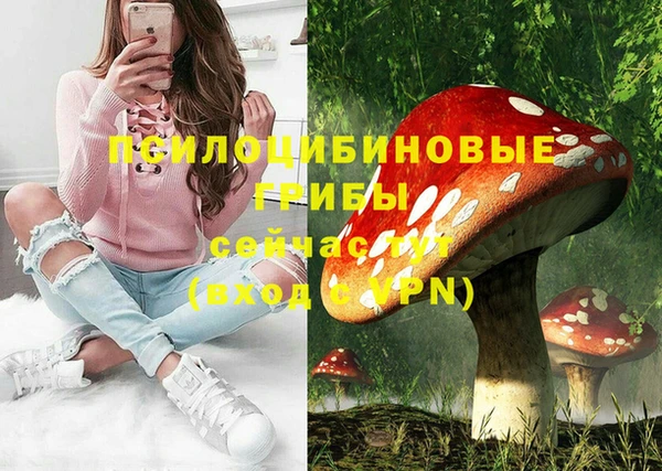 СК Алексин