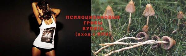 стафф Алексеевка
