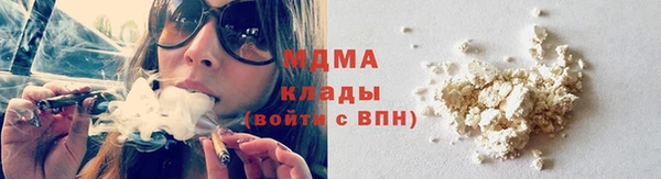 СК Алексин