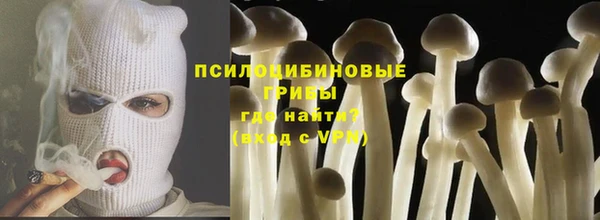 СК Алексин