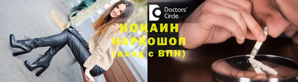 СК Алексин