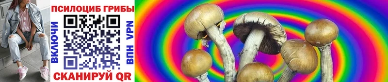 Псилоцибиновые грибы GOLDEN TEACHER Тихвин