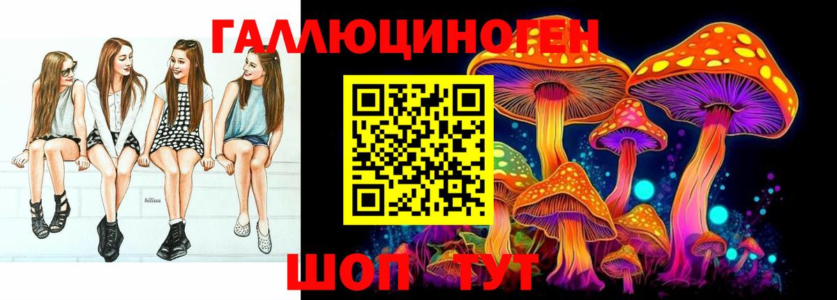 Тихвин  Галлюциногенные грибы Psilocybe  Вход с VPN 